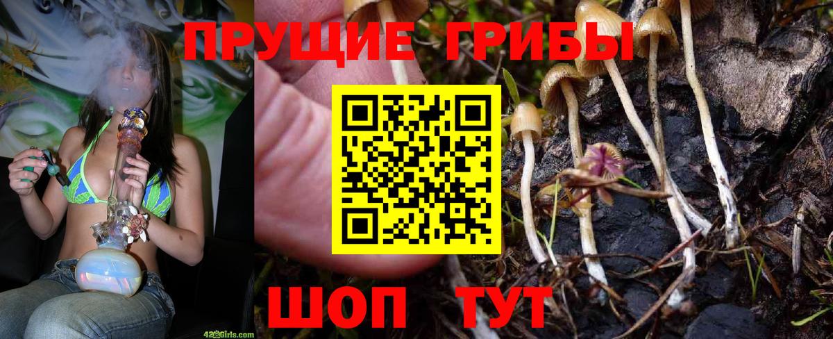 Галлюциногенные грибы MAGIC MUSHROOMS Мелеуз