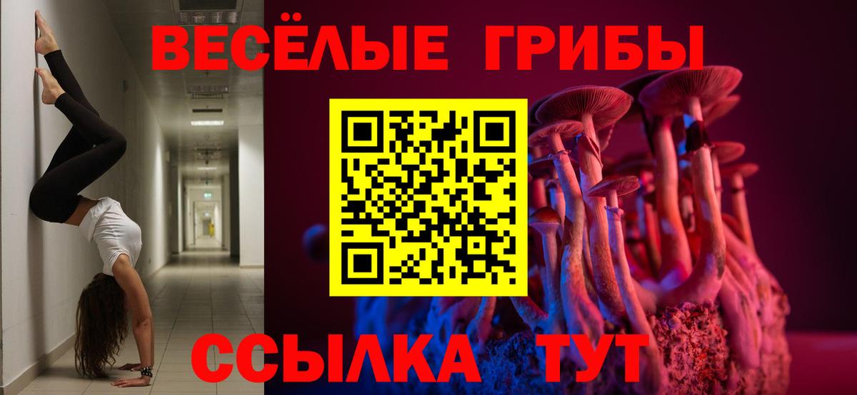Псилоцибиновые грибы Psilocybine cubensis  Вход с VPN  закладки  Мелеуз 